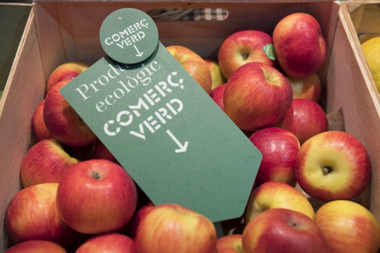 51308658886_91d15241ec_o