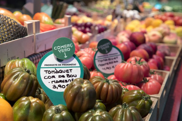 51309682780_c6840a24fe_o